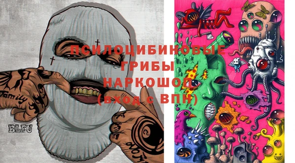 бошки Алексеевка