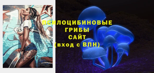 бошки Алексеевка