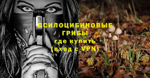 бошки Алексеевка