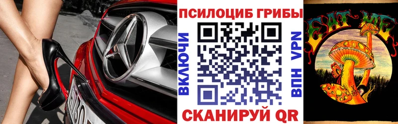 Псилоцибиновые грибы Psilocybine cubensis  Зеленокумск 