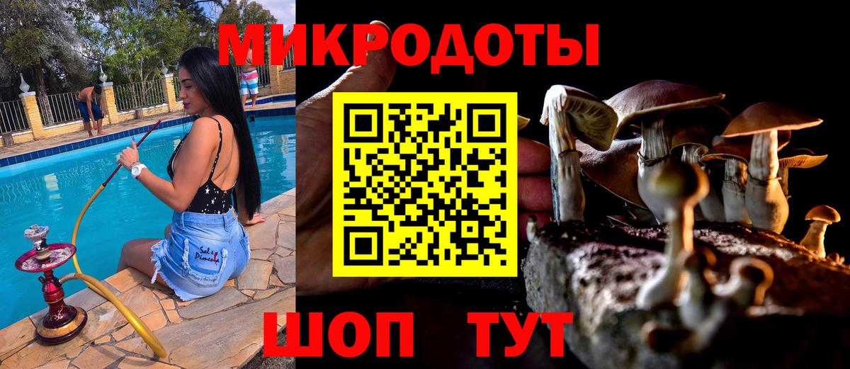 Псилоцибиновые грибы прущие грибы Зеленокумск