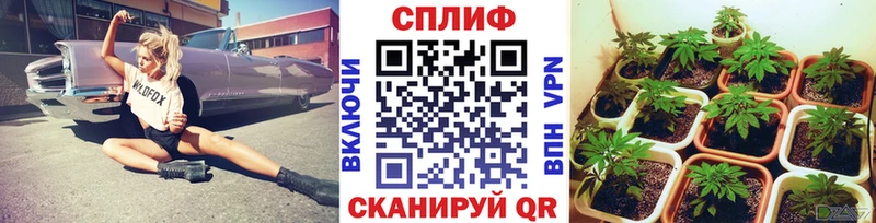 blacksprut как войти  закладка  Зеленокумск  Каннабис тримм 